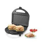 Roch panini