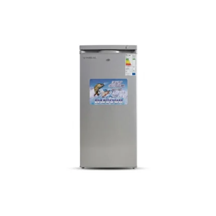 Congélateur 222L REGAL 6 tiroirs